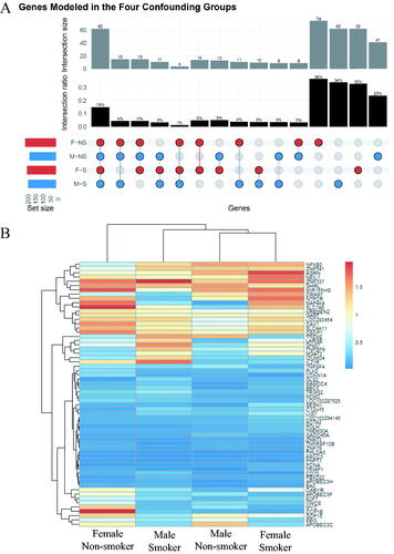 Figure 3. (A) Upset plot of the genes from the irradiated white blood cells that were successfully modeled by BMD analysis. The set size refer to the total number of genes per group. (B) Hierarchical cluster analysis of the 62 genes modeled by BMD methodology across the four study groups. The color scale corresponds to the BMD values (in Gy) of the genes.