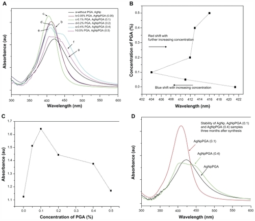 Figure 1 (A) UV-visible spectra of bare silver nanoparticles and capped with different amounts of PGA as capping agent, (B) Absorbance maximum displacement depending on the concentration of capping agent; (C) Increase of the absorbance maximum depending on the concentration of capping agent and (D) Stability of bare and PGA capped silver nanoparticles three months after synthesis.Abbreviations: PGA, poly-α, γ, L-glutamic acid; AgNpPGA, PGA-capped silver nanoparticles.