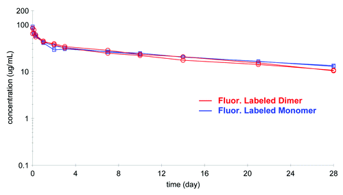 Figure 9. Comparison of the pharmacokinetic profile of labeled mAb and labeled dimer (n = 2 each) analyzed on the GXII revealed similar profiles.