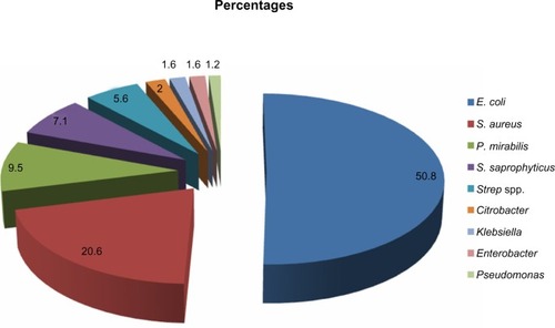 Figure 1 Pie chart showing uropathogens isolated from pregnant women with urinary tract infection.