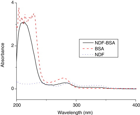 Figure 2. UV spectra characterization for NDF–BSA, NDF and BSA.Note: NDF molecule has absorbance peaks at 239, 290 and 329 nm while protein BSA has maximum absorbance at 278 nm. While, the conjugates of NDF–BSA were found typical absorbance peak at 259 and 281 nm.