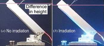 Figure 3 Photographs of LDA (a) before and (b) under irradiation. The difference in height between the two photographs is shown with a thick line.