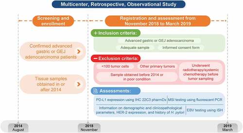 Figure 1. Study designEBV, Epstein-Barr virus; GEJ, gastroesophageal junction; HER-2, human epidermal growth factor receptor-2; H. pylori, Helicobacter pylori; IHC, immunohistochemistry; ISH, insitu hybridization; MSI, microsatellite instability; PCR, polymerase chain reaction; PD-L1, programmed death ligand-1.
