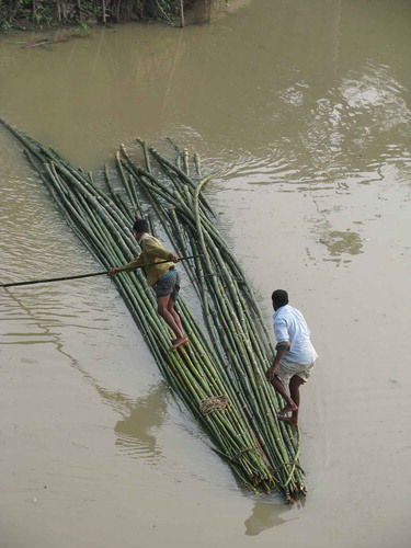 Figure 8. Bamboo rafting in the area (Photo credit: Sharif A. Mukul).