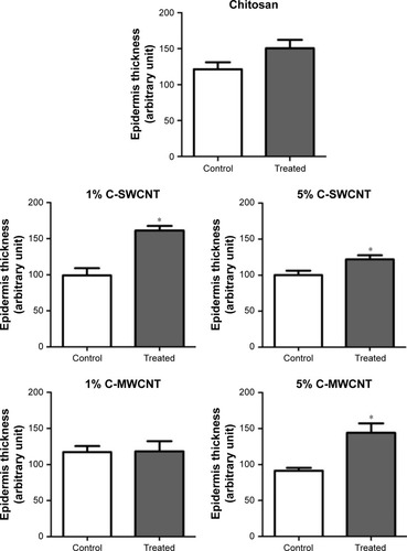 Figure 7 Both MWCNTs and SWCNTs improved the formation of the epithelial layer.Notes: Representative random images for tissue samples stained with Masson’s trichrome stain were analyzed by ImageJ software, where the “straight line” tool was employed to arbitrarily measure the thickness of the epidermis. Values are given as means ± SEM, n=5, triplicates. *P<0.05 compared to the control.Abbreviations: C-SWCNT, chitosan–single-wall carbon nanotube; C-MWCNT, chitosan–multi-wall carbon nanotube.