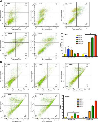 Figure 7 FSE induced apoptosis using Annexin V-FITC/PI by flow cytometry.