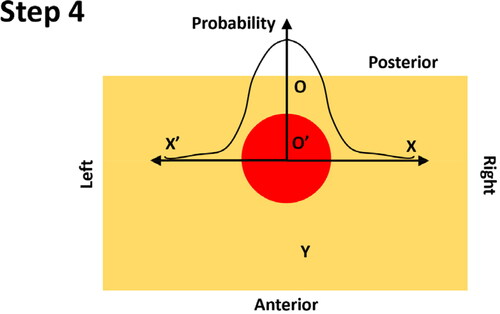 Figure A4. Step 4 – constructing the probability of PCa existence along the left-right axis, using O’ as the origin, in a symmetrical fashion.