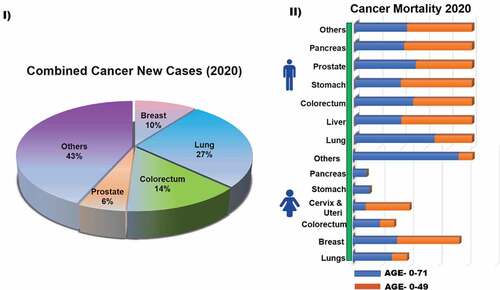Scheme 1. Global Cancer Statistics by WHO. I) New cancer cases in 2020 world-wide. II) Agestandardized mortality among (A) men and (B) women in 2020. For each sex, the area of the bar chart reflects the proportion of the total number of cases or deaths in each cancers from the age 0-71 and 0-49. Source: GLOBOCAN 2020 [Citation1].