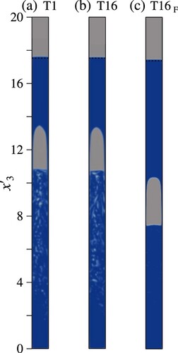 Figure 3. Snapshot of the Taylor bubble at the cross-section x2′=0 and dimensionless time t′=14.54 of (a) the prototype, (b) T16 and (c) T16F