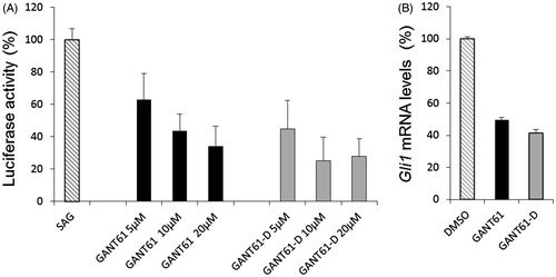 Figure 6. (A) Luciferase reporter assay in NIH3T3 Shh-Light II cells, which shows the dose-dependent inhibition of Hh signalling by GANT61 and GANT61-D after 48 h of treatment. (B) SuFu−/− MEFs were treated for 24 h with GANT61 or GANT61-D (10 μM) or DMSO as a control. Gli1 mRNA levels were determined by qRT-PCR normalised to β2-microglobulin and HPRT expression.