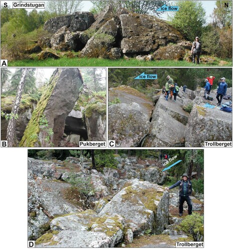 Figure 7. Field photos of selected disintegrated roche moutonnées. (A) Grindstugan: small partially disintegrated roche moutonnée; increasing disintegration down-ice. (B) Pukberget: rock tower with disrupted blocks in back ground. Basal fractures occur at different levels. Height of view c. 6 m. (C) Trollberget: Metre-sized blocks, in domino-style displacement. Top surfaces are abraded. (D) Trollberget: Metre sized block with blunt stoss side facing up-ice. Note minor edge rounding. Figure © Svensk Kärnbränslehantering AB.