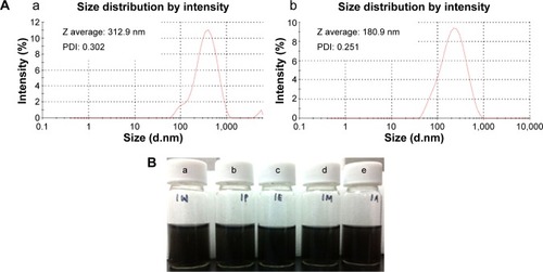 Figure 7 DLS characterization and photograph of RGO dispersion in different solvents.Notes: (A) Size distribution analysis on (a) GO and (b) RGO with respective PDI and size. (B) Solubility of RGO in (a) water, (b) PBS buffer, (c) ethanol, (d) methanol, and (e) acetone.Abbreviations: PBS, phosphate-buffered saline; GO, graphene oxide; PDI, polydispersity index; RGO, reduced graphene oxide; Z, size; DLS, dynamic light scattering.