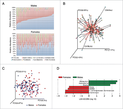 Figure 1. Sex differences in gut microbiota composition in 89 different inbred strains of mice. (A) Columns represent the average relative abundance of microbial phyla within 89 matched strains of male (n = 348) and female (n = 341) mice arranged in the same order. (B) Procrustes plot comparing β diversity between females and males of the same strains. The Bray-Curtis distances between the genders vary across the strains (M2 = 0.89, p < 0.001), highlighting the differences in microbial composition between sexes. (C) Bray-Curtis dissimilarity metric plotted in PCoA space comparing the gender microbial communities from different genders (89 matched strains). Each circle representing a different strain colored according to the gender. The first 3 principal components (PC1, PC2 and PC3) are shown, with the amount of variation explained are reported for each axes. Both sex and strain effects account for PC1 and PC3 variations (p < 0.0001, F test) and PC2 variation is explained only by strain effect (p < 0.001, F test). (D) Linear discriminant analysis (LDA) coupled with effect size measurements identified the most differentially abundant genus level taxa between female and male mice from 89 matched strains.