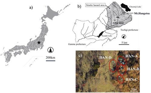 Figure 1. (a) Location of the study site. (b) The area affected by smoke hazards from Ashio mine based on 1897 survey and the location of Mt. Hangetsu. The figure was obtained from United Nation University, https://archive.unu.edu/unupress/unupbooks/uu35ie/uu35ie06.htm (Last view date: 2022/02/07) with revision and edit. (c) Location of the sample points and sample groups (HAN-A, B, C, D). Base map was obtained from Google Earth.