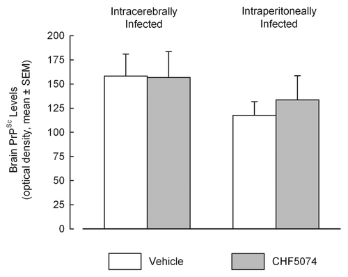 Figure 3 Quantification of PrPSc signals obtained from western blot analyses of brains of intracerebrally-(A) and intraperitoneally-(B) infected mice treated with vehicle or CHF5074. Columns indicate the mean of optical densities. Error bars represent the standard error of the means.