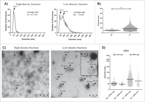 Figure 6. Electron microscopy analysis of exRNA-associated structures. Samples (10 µg protein) were loaded onto grids, labeled with anti-CD63, and examined by electron microscopy. (A) All structures in approximately 100 micrographs per sample type were measured and are presented as graphs with the number of structures on the y-axis and the diameter of the structures in nm on the x-axis. In total, the diameters of 1566 structures were measured for this analysis (425 and 1141 for the HD and LD fractions, respectively). (B) The structures in the LD fractions were significantly larger (92 ± 1.5 nm) than the HD structures (51 ± 0.7 nm). (C) Representative electron micrographs are shown for each separated fraction. (D) In both the HD and LD fractions, the CD63+ structures were smaller than the CD63− structures. Unpaired t-test; * p < 0.05, *** p < 0.001, **** p < 0.0001.