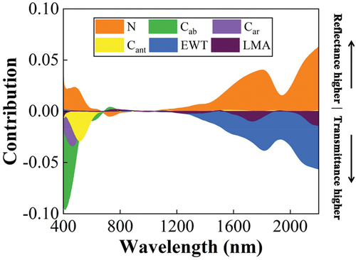 Figure 2. Difference in contribution to the sensitivity to the specific leaf traits between reflectance and transmittance for the input parameters (N: Structural parameter, Cab: chlorophyll, Car: carotenoids, Cant: anthocyanin, EWT: equivalent water thickness, and LMA: leaf mass per area) based on PROSPECT-D model simulations. A positive contribution means that the contribution of the components in reflectance is higher than that in transmittance, while a negative value is the opposite.