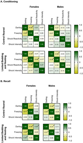 Figure 4. Darting behavior tends to be negatively correlated with freezing behavior. (A) Spearman correlation matrices for control and LBN-reared male and female mice during conditioning. A negative correlation between darting and freezing behavior was observed for control-reared females, LBN females, and LBN males. LBN females also showed a significant negative correlation between foot-shock reactivity and freezing. N per group control females = 41, control males = 40, LBN females = 51, LBN males = 46. (B) Spearman correlation matrices for control and LBN-reared male and female mice during recall test. A negative correlation between darting and freezing behavior was observed for control-reared females, control-reared males, and LBN females. LBN females also showed a significant positive correlation between foot-shock intensity and darting behavior. Both a Spearman correlation analysis (shown here and in the results section) and a Pearson correlation analysis (results section only) were used to assess the correlations between darting, freezing, foot-shock reactivity (shock reactivity) and foot-shock intensity (shock intensity). For analysis, data from all 3 foot-shock intensities are pooled for all variables. N per group controls females = 41, control males = 40, LBN females = 51, LBN males = 44. Spearman correlations analysis. *p < 0.05, **p < 0.01, ***p < 0.001.
