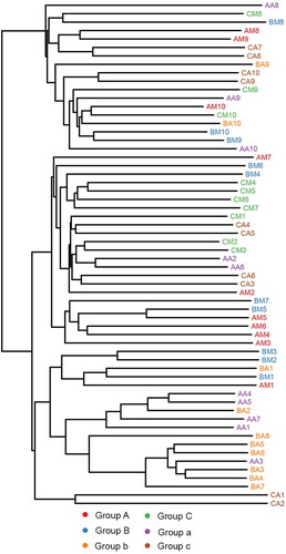 Figure 4. Hierarchical clustering of buccal cavity and rectum samples by unweighted pair group method with arithmetic mean (UPGMA) according to their weighted UniFrac matrix. Sample names refer to samples as described in Table 1.