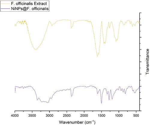 Figure 4. FT-IR Spectra of NiNPs@F. officinalis and F. officinalis extract.