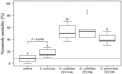 Figure 5. Lethal effects of the VOCs produced by the fungi on the fourth larval stage of C. elegans strain N2. The dashed line indicates the median mortality rate without the effect of the yeast. Letters indicate significant pairwise differences (Tukey’s all-pair comparisons using the generalized linear regression model with binomial error, p < 0.05). The p value between the control and treatment of S. cerevisiae suggests a marginal significance.