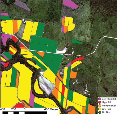 Figure 6. Risk map showing different extent of canegrub damage within each individual block.