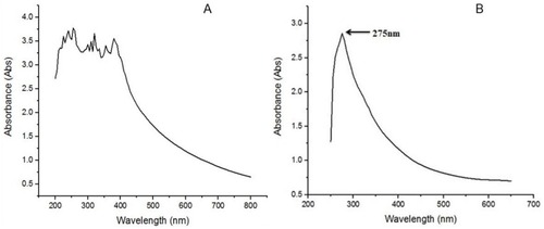 Figure 2 (A) Ultraviolet-visible spectrum of Foeniculum vulgare Mill. seed extract depicting presence of multiple peaks indicating various constituent compounds. (B) Ultraviolet-visible spectrum of selenium nanoparticle reaction mixture indicating specific selenium nanoparticle absorbance peak at 275 nm.