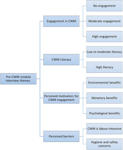 Figure 1. Summary of pre-CWM module interview themes.