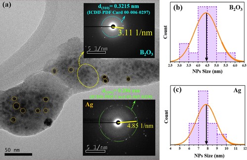 Figure 3. (a) TEM image of ZBPHPA0.8 (Series II) sample. The upper and lower insets are the respective SAED patterns of the small and big dark spots. (b) and (c) indicate the corresponding crystallite size distribution of the small and big dark spots.