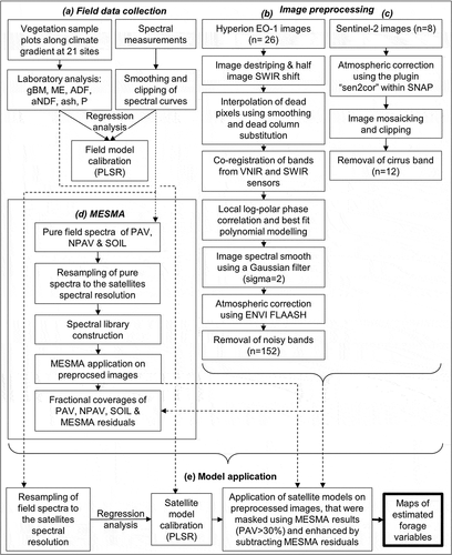 Figure 1. Flow chart of the study`s field data collection and image processing methodology (gBM: green biomass, ME: metabolisable energy, ADF: acid detergent fibre, aNDF: amylase-treated neutral detergent fibre, P: phosphorus, PLSR: partial least-squares regression, PAV: photosynthetic active vegetation, NPAV: non-photosynthetic active vegetation, SOIL: open soil, MESMA: multiple endmember spectral mixture analysis, VNIR: visible and near infrared, SWIR: short wave infrared)