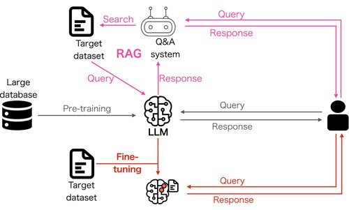 Figure 3. Overview of two important extensions to basic LLM use (gray path): (1) Fine-tuning (red path) refers to further training the LLM using a small set of data from a target task. (2) RAG (purple path) refers to a technique to link the LLM with external databases to help the LLM provide more accurate answers.