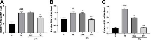 Figure 8 Effect of DF on MAPK pathway gene expression in HaCaT Cells (A–C): effects of DF and DW at 2% concentration on JNK, ERK, P38. The student’s t-test was performed to determine statistical significance (*P < 0.05, **P < 0.01, ***P < 0.001, versus the control group; ##P < 0.01, ###P < 0.001, versus the control group. C: control group; M: UVB irradiation model group).