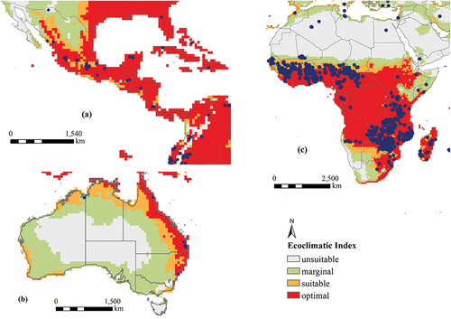 Figure 6. The distribution of peanut crops in validation areas of (a) Central America, (b) Africa, and (c) Australia. Blue dots represent current peanut distribution data.