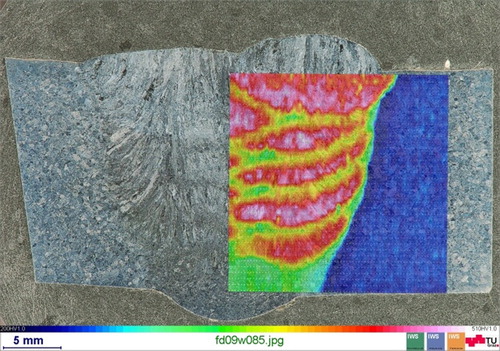 Figure 8. Macrograph of a cross-section of a multilayer weld of a 9Cr martensitic steel in as-welded condition [Citation50].Note: The superimposed hardness mapping reveals large differences in hardness of the fusion zone indicating different microstructural features.