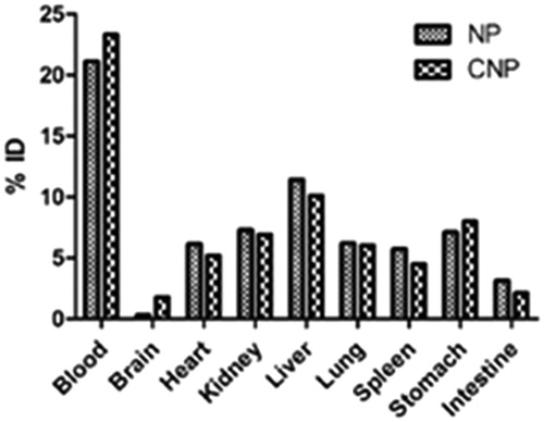 Figure 10. Concentration (%ID) of delivery system in tissue samples collected at 15 min after single dose of CNP or NP. N = 3. Mean ± SD. p < 0.05 versus NP.