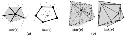 Figure 3. The star and the link of a vertex v in 2D (a) and 3D (b).