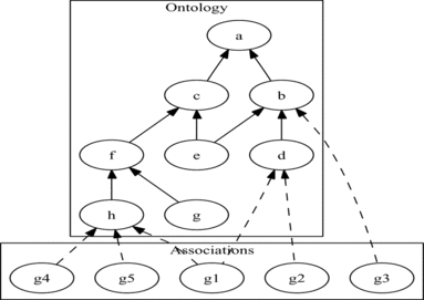 FIGURE 2 Example of a DAG-structured ontology (such as GO, but with a single edge type) and associated objects (such as genes) annotated to its terms.