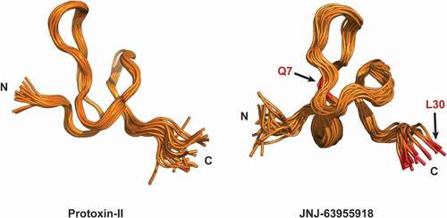 Figure 3. Side by side comparison of the two structure ensembles of protoxin-II (2N9T) and JNJ63955918 (5TCZ). The global ICK fold is evident in the two highly homologous peptides. 20 lowest energy conformers for each ensemble are shown