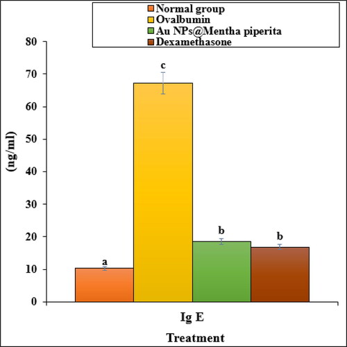 Figure 5. The effect of Au NPs@Mentha piperita on Ig E parameter in ovalbumin-induced asthmatic rats.