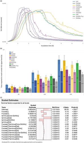 Figure 13. Static light scattering analysis to measure aggregation propensity by isothermal incubation at 65 °C showed aggregation speed was decreased by terminal galactosylation and increased by core defucosylation and terminal sialylation. (a) SLS counts for seven hours. (b) Time required to reach 2, 10 and 50% of maximum SLS counts for each glycoform. Error bars represent SD of n = 3. (c) JMP analysis: Scaled estimates of effect of glycosylation for relative time required to reach certain levels. Time required to reach 2, 10 and 50% of maximum SLS counts was converted into relative time to average of mAb-ctrl and statistically analyzed for complex biantennary glycoforms and acceptors.