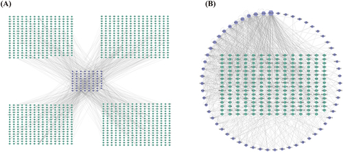 Figure 3 Analysis of transcriptional regulatory network of Astragalus–Atractylodes herb pair (HQBZ)–hepatocellular carcinoma (HCC). (A) The HQBZ–HCC transcriptional regulatory network consisted of 1237 nodes and 1405 edges. The green circular and purple hexagonal nodes represent 1166 non-TF genes of HCC and 71 TF genes of HQBZ, respectively. (B) A subnetwork of the HQBZ–HCC transcriptional regulatory network consisting of 282 nodes and 1074 edges. A big purple hexagon node indicates a high degree of the TF genes of HQBZ.