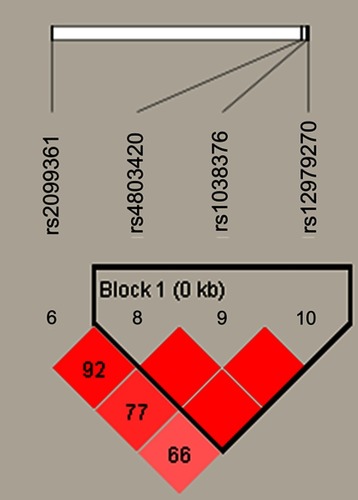 Figure 3 The haplotype block diagram constructed by candidate SNPs in CYP2B6 in females.