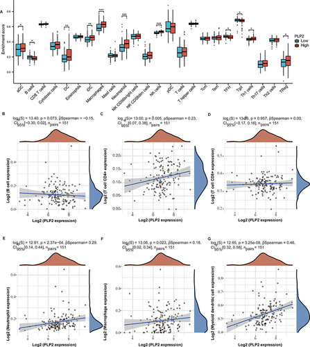 Figure 5 The proportion of immune cells was associated with the expression of PLP2 in TCGA dataset. ns: no significance, *P < 0.05, **P < 0.01, ***P < 0.001.(A) Analysis of the proportion of immune cells from ssGSEA. (B–G) The correlation between tumor immune infiltrated cell levels and PLP2 expression in GBM.