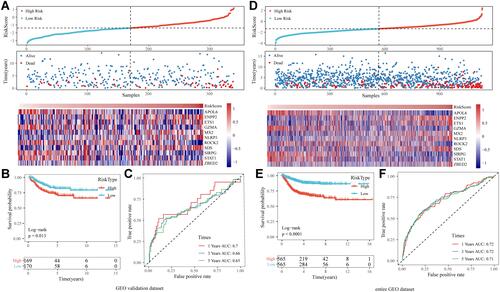 Figure 6 (A) The distribution of RiskScore and corresponding survival states in the Gene Expression Omnibus (GEO) validation dataset, and heatmap of gene expression in RiskScore model. (B and C) Kaplan-Meier (KM) curve and receiver operating characteristic (ROC) curve of RiskScore in GEO validation dataset. (D) The distribution of RiskScore and corresponding survival states in the entire merged GEO dataset, and heatmap of gene expression in RiskScore model. (E and F) KM curve and ROC curve of RiskScore in the entire merged GEO dataset.