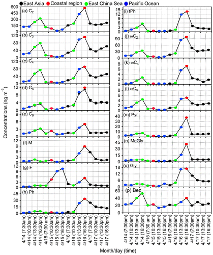 Fig. 5. Diurnal variations in the concentration of (a) oxalic acid (C2), (b) malonic acid (C3), (c) succinic acid (C4), (d) adipic acid (C6), (e) azelaic acid (C9), (f) maleic acid (M), (g) fumaric acid (F), (h) phthalic acid (Ph), (i) terephthalic acid (tPh), (j) glyoxylic acid (ωC2), (k) 4-oxobutanoic acid (ωC4), (l) 9-oxononoic acid (ωC9), (m) pyruvic acid (Pyr), (n) methylglyoxal (Gly), (o) glyoxal (MeGly) and (p) benzoic acid (Bez) in the ambient aerosols collected at Cape Hedo, Okinawa in spring 2007.