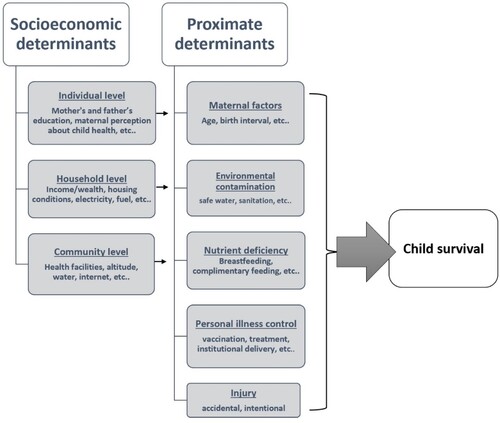 Figure 1. The conceptual framework adapted from Mosley and Chen (Citation1984).