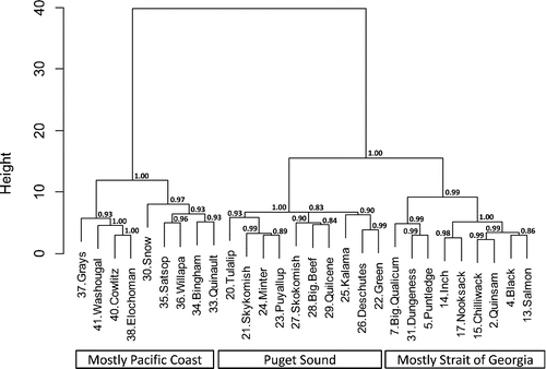 FIGURE 3. Dendrogram showing the results of Ward's hierarchical cluster analysis of smolt survival estimates for Coho Salmon populations in the Salish Sea and neighboring watersheds, ocean entry years 1977–2010. The vertical line height represents the Euclidean distance (magnitude of difference) between pairs of populations. Bootstrap support for each cluster is provided as an approximately unbiased P-value (significance, P ≥ 0.95).