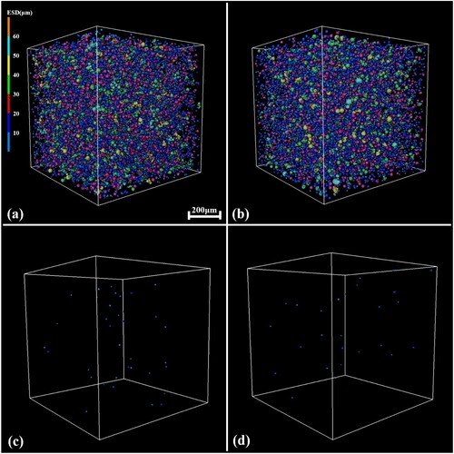 Figure 10. (a) the 3D reconstruction of non-optimal powders of LPBF, (b) the 3D reconstruction of optimal powders of LPBF, (c) the pore distribution of non-optimal powders of LPBF, (d) the pore distribution of optimal powders of LPBF.