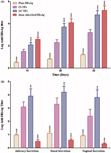 Figure 7. Specific anti-HBsAg antibody titer: graph showing (A) anti-HBsAg antibody titer in serum (IgG) and (B) secretion (sIgA). End-point titer is expressed as the reciprocal dilution titers ± SD (n = 6), which gave an optical density (OD) above negative control. The results obtained were compared with CS NPs. Asterisk over bars indicated degree of significance. Where *p < 0.05; **p < 0.01; ***p < 0.001.