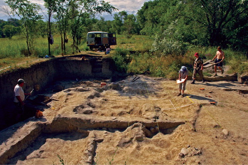 Figure 2. Photograph of the 2009 and 2010 excavation units.